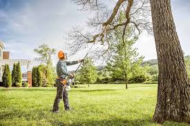 Reliable Brewster, WA Tree Care Solutions
